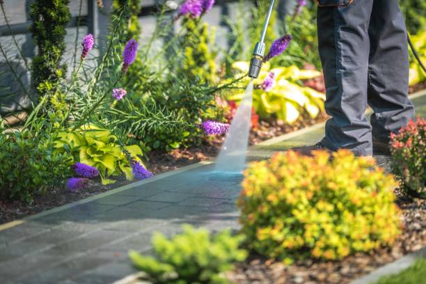 Best Roof Cleaning and Mildew Removal in Youngsville, NC